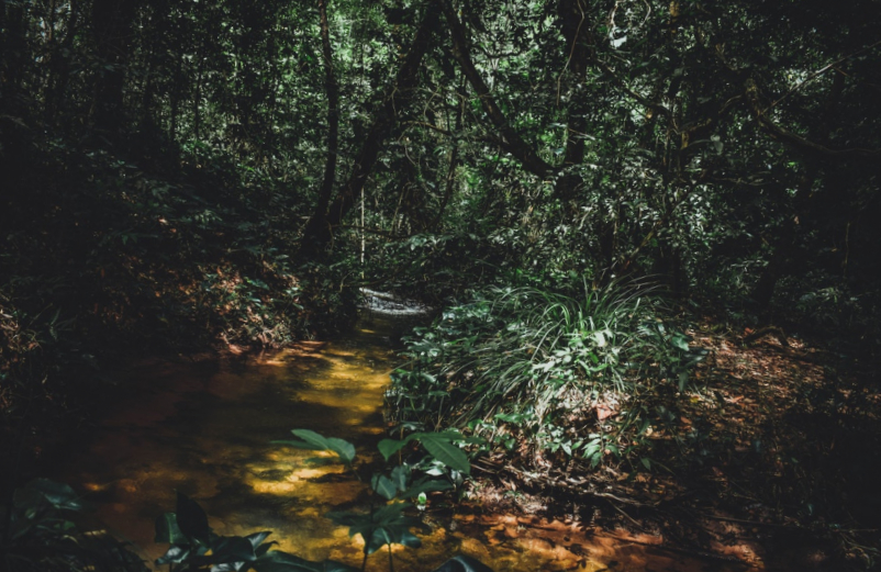 A la découverte du sentier des Ocres de Rustrel